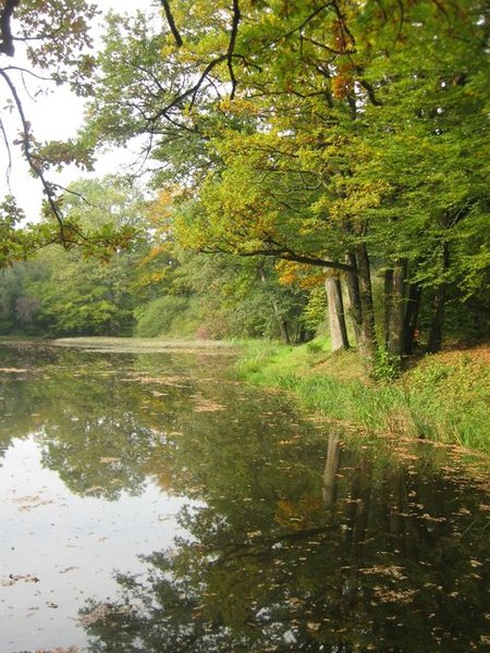 Erzweg Nord Teich